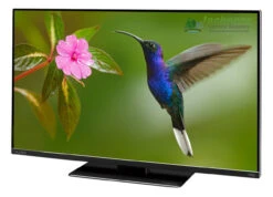 Avtex M219DRS PRO 12v LED TV Freeview HD DVD SAT HD REC Caravan Motorhome TV -Family Camp Gear Store Avtex L219DRs PRO 04231.1660206963