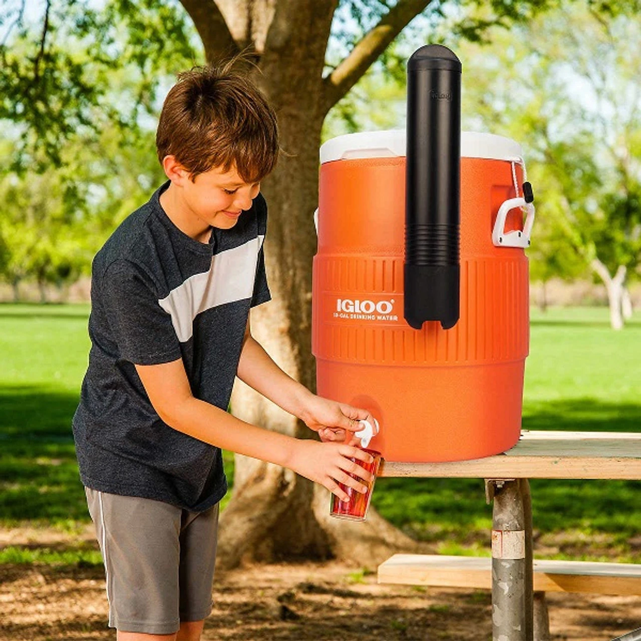 IGLOO 10 Gallon Seat Top Commercial Water Cooler & Cup Dispenser 37.5L 4 IGLOO 10 Gallon Seat Top Commercial Water Cooler & Cup Dispenser 37.5L - Image 2